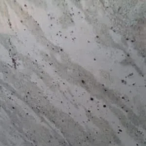 Andromeda White
