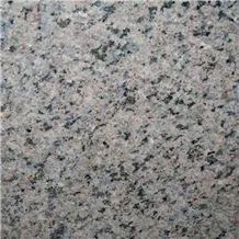Castor Blue