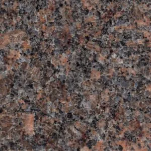 Dakota Mahogany