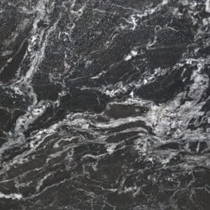 Forest Black