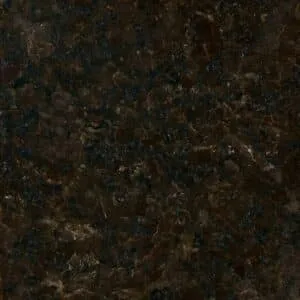 Indian Black Pearl