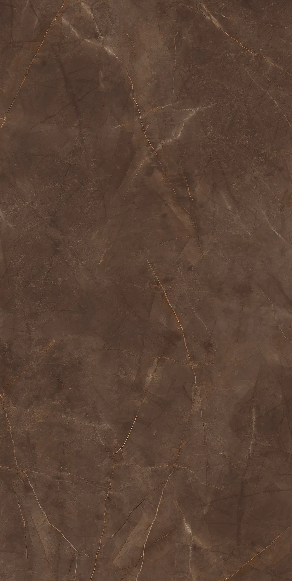 Infinity Pulpis Brown