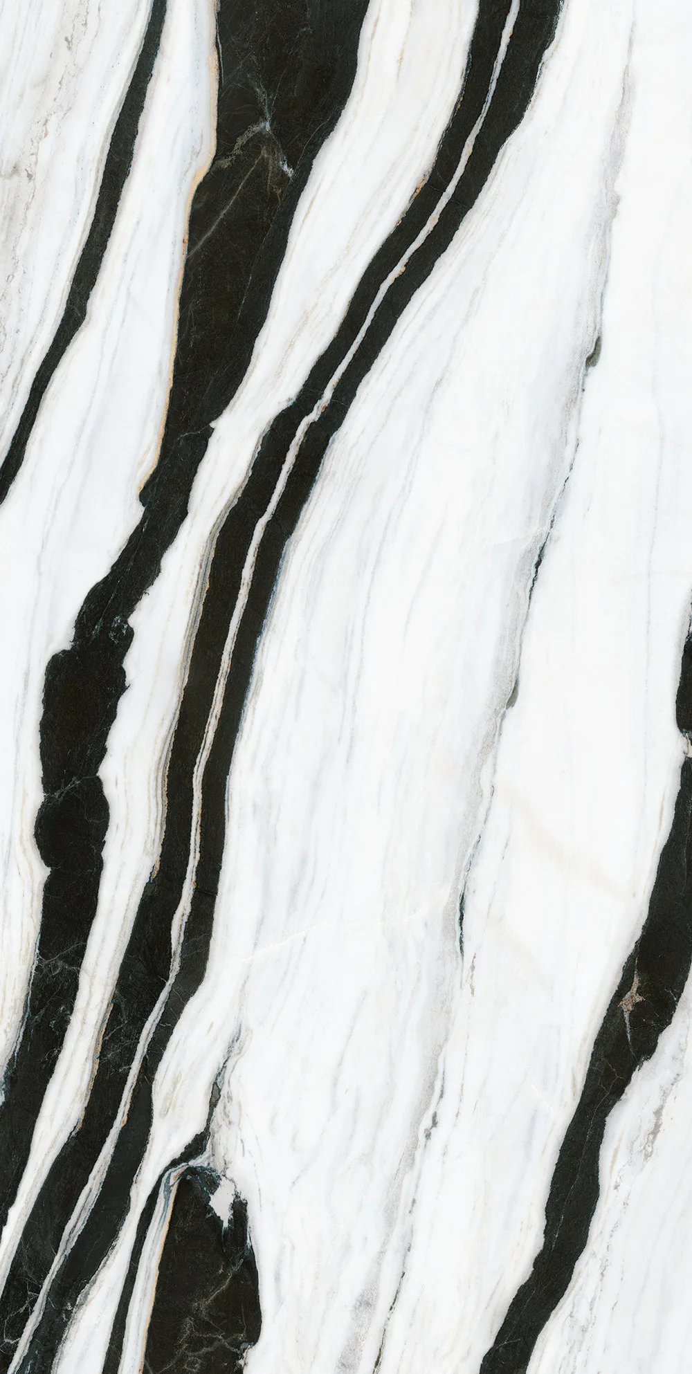 Infinity Panda White
