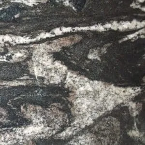 New Forest Black