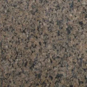 Tropical Brown