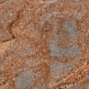 Namib Dunes
