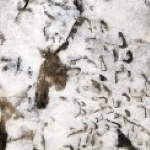 Juparana Torrone